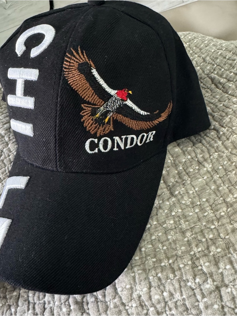 Embroidered Black Baseball Cap with Bird Motif and “Chile” Text